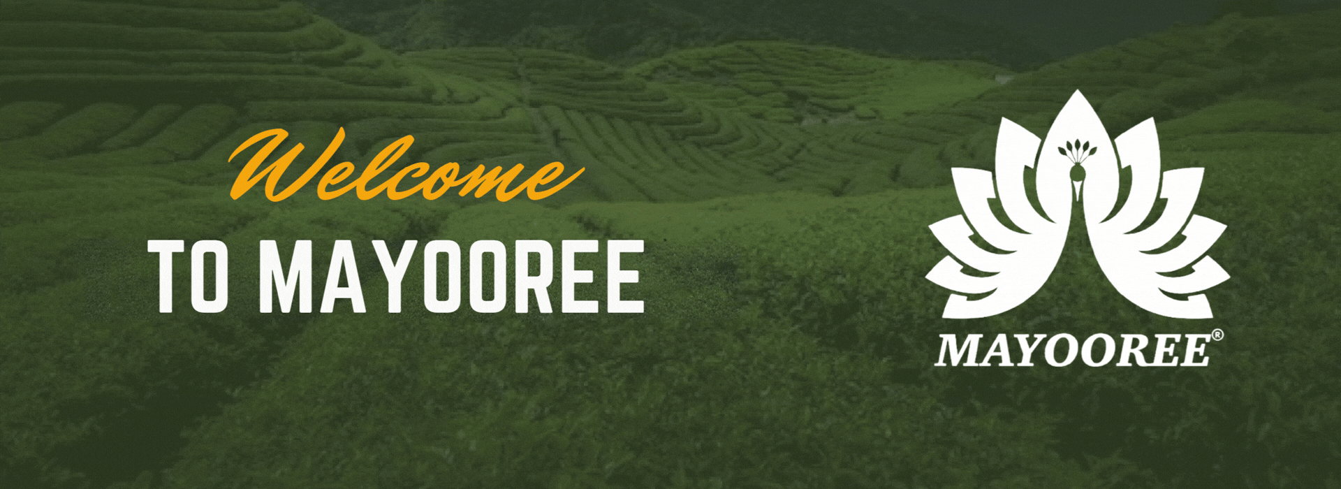 mayooree slider (2)